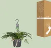 Humata tyermannii Bärenfußfarn Ø 17 cm - Höhe 20 cm - Produktbild-Vorschau 6