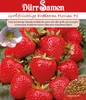 Dürr-Samen - Erdbeeren Florian F1 - Saatgut - 1004 Produktbild-Vorschau 2