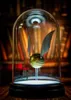A golden snitch with wings is displayed inside a glass dome on a dark surface, with blurred bookshelves in the background. Podgląd zdjęcia produktu