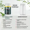 GLP Formula Forte Kapseln - Balance Starts at the Core | Produktbild-Vorschau 4