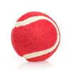 Hundespielzeug - Ballwerfer mit Tennisball - 1 Stück Produktbild-Vorschau 14