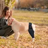 Kniebandage Hund Hinterbein für Kreuzbandriss und Genesung Produktbild-Vorschau 6