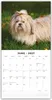 Shih Tzu 2027 - 16-Monatskalender Produktbild-Vorschau 3