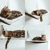 A collage of four images showing a Bengal cat sleeping and resting on a cat bed attached to a radiator. Anteprima dell’immagine prodotto