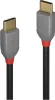 LINDY USB 2.0 kabel typ C/C Anthra Line M/M 1m Náhled obrázku produktu 1