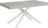 ITYHOME - Ausziehtisch 160/420X90 cm Karida Kaschmir Produktbild-Vorschau 1