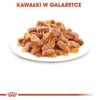 Royal Canin Buste Fresche Kitten Instinctive in Salsa Voir les images du produit 4
