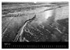 Strandspaziergang an der Ostsee (Wandkalender 2027 DIN A3 Produktbild-Vorschau 7