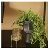 Emerald Kunstpflanze Buchsbaum Hängend in Topf 50 cm Produktbild-Vorschau 6