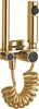 A close-up studio shot of a gold-colored shower set. Anteprima dell’immagine prodotto