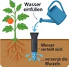 6er Set Wurzelgießer 30cm - gezielte Tropfenbewässerung für Produktbild-Vorschau 2