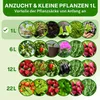 TTL GARDEN Pflanzsack 1L – 10er Set Stofftöpfe aus Filz & Produktbild-Vorschau 6