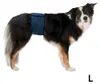 Pannolini per maschi, lavabili 55–65 cm blu scuro Anteprima dell’immagine prodotto 8