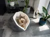 TrendPet LunaNest Kuschelhöhle beige (55x55x33cm) Produktbild-Vorschau 6