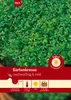 Artikelbild 1 von 'Gartenkresse Einfache' aus der Kategorie Kressesamen Produktbild-Vorschau