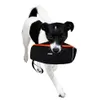 Kerbl Snackdummy für Hunde Trainingsdummy wasserfest Produktbild-Vorschau 3