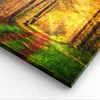 Bild auf Leinwand - Leinwandbild - Einteilig - Wald Baum Produktbild-Vorschau 5