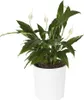 MALWA DŁUTO 190 pot de fleurs - blanc LA721-05 LAMELA Voir les images du produit 9