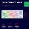 A marketing image showcasing a white tenkeyless gaming keyboard with multicolor RGB backlighting, accompanied by feature descriptions and icons. Produktbild-Vorschau