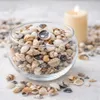 Muschelmix Small 1kg naturbelassen Deko Muscheln Schnecken Produktbild-Vorschau 3