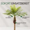 Meisterhome Kunstpalme 210 cm – Extra große Tropische Produktbild-Vorschau 6