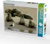 Calvendo Seehunde auf der Sandbank 1000 Teile Puzzle quer Produktbild-Vorschau 1