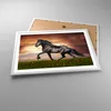 Gerahmtes Poster - Weißer Rahmen - Pferd Tier Wiese - 70x50 Produktbild-Vorschau 3