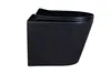 Wand WC Set 'Nakia' spülrandlos matt schwarz inkl. WC-Sitz Produktbild-Vorschau 7