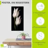 ARTland Poster Weiße Tulpen in der Nacht Größe: 50x100 cm Produktbild-Vorschau 2