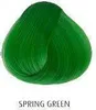 La Richè Directions Spring Green 89 ml Produktbild-Vorschau 2