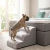 Relaxdays Honden trap, 2 treden, HxBxD: 30x40x40 cm, Productafbeelding-voorbeeld 3
