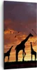 Bild auf Leinwand - Leinwandbild - Giraffe Afrika Sonne Produktbild-Vorschau 1