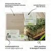 Kressesamen - Küchenkräuter Saatgut aus biologischem Anbau Produktbild-Vorschau 5