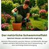 Aktive Humus Blumenerde Torffrei - (20L) | Hochwertige Produktbild-Vorschau 3