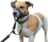 Collare da dressage per cani Compagnia degli Animali Halti Anteprima dell’immagine prodotto 3
