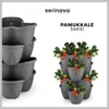 Stapelbare bloempotten set, 4-delig, in antraciet - Productafbeelding-voorbeeld 6
