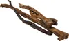 Two dried animal chews, likely for dogs, are arranged diagonally on a white background. Produktbild-Vorschau