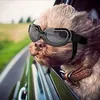 mall Hundebrille, UV-Schutz, verstellbar, transparent, für Produktbild-Vorschau 1