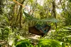 AMAZONAS Outdoor Plane Traveller Tarp XXL Produktbild-Vorschau 27