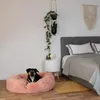A dog is resting in a pink donut bed next to a bed in a bedroom. Anteprima dell’immagine prodotto