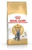 Royal Canin British Shorthair Adult, Adult, 4 kg, Produktbild-Vorschau 9