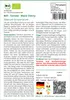 SAFLAX - BIO - Tomate - Black Cherry - 10 Samen - Solanum Produktbild-Vorschau 3