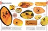 Dinosaurier Produktbild-Vorschau 9