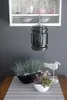 A shelf with jars and bowls above a table with plants and a decorative bird. Podgląd zdjęcia produktu