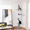 PawHut Kratzbaum Deckenhoch höhenverstellbar, stabiler Produktbild-Vorschau 2