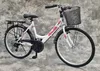 26 Zoll Damencityrad SAFIRO VON UMIT 21-Gang Shimano Produktbild-Vorschau 1