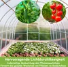 UISEBRT 14 X polykarbonátová dutá komora Twin-Wall Sheet Náhľad obrázku produktu 6