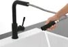 Villeroy & Boch 96970106 Küchenarmatur Steel Shower 969701 Produktbild-Vorschau 7