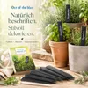 Štítky na rostliny z břidlice, 6 ks, s křídou, cca 2 x 15 Náhled obrázku produktu 7