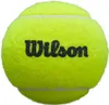 Tuba 3 piłek do Padela Wilson Premier Speed Multicolor Podgląd zdjęcia produktu 8